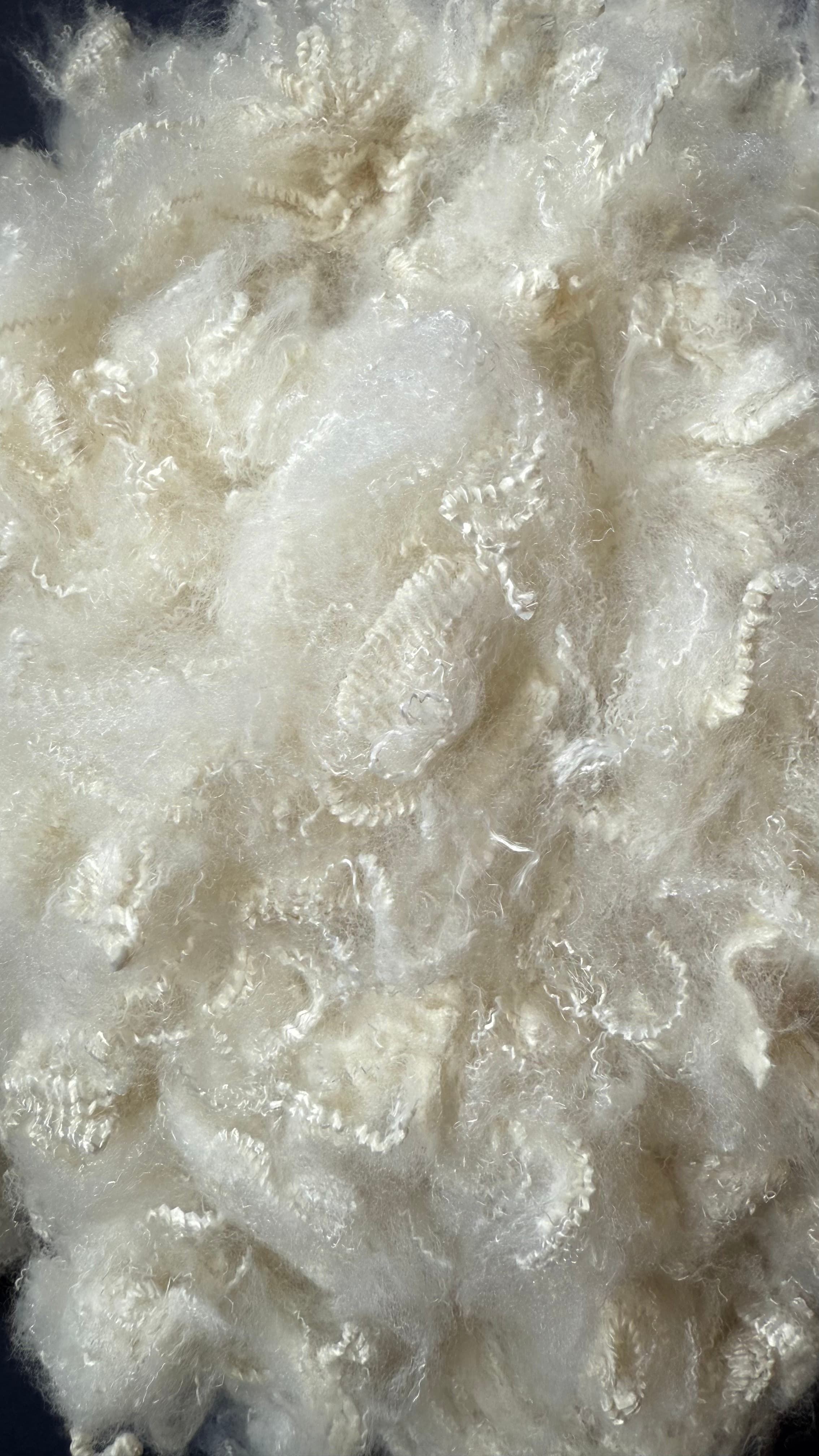 Recycled Polyester Staple Fibre